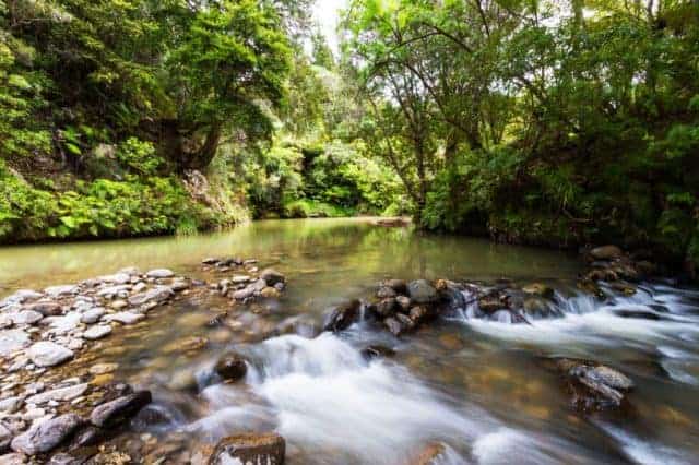 Haven Retreat - Whitianga Coromandel, north island, Naked Divorce