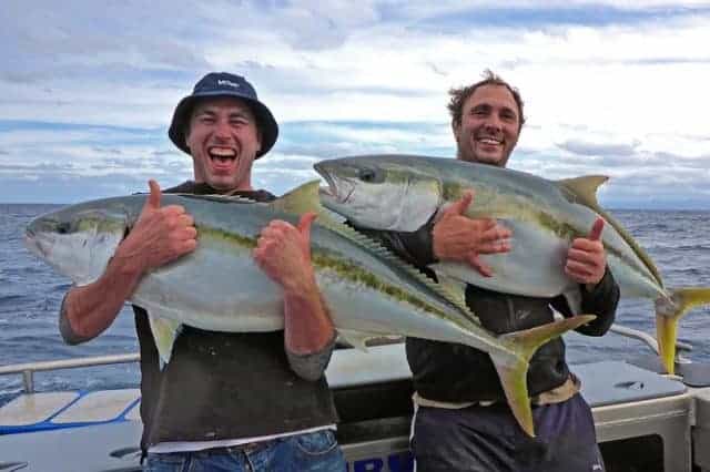 Haven Retreat - Whitianga Coromandel, north island, Naked Divorce