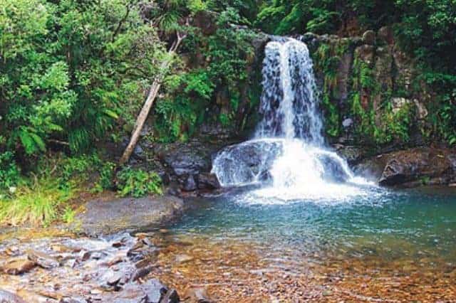 Haven Retreat - Whitianga Coromandel, north island, Naked Divorce