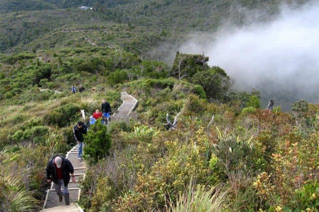 Haven Retreat - Whitianga Coromandel, north island, Naked Divorce