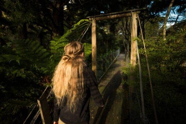 Haven Retreat - Whitianga Coromandel, north island, Naked Divorce