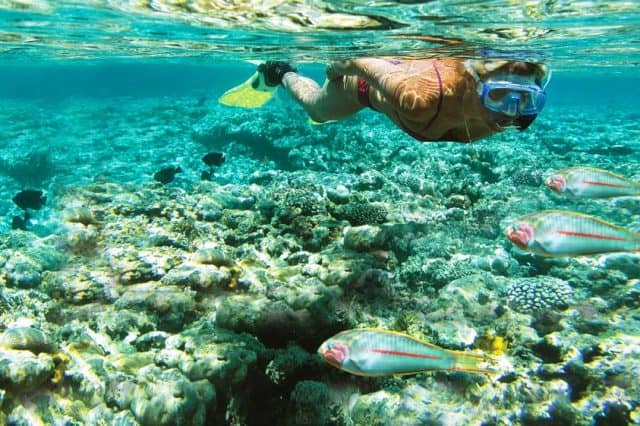 Naked Divorce in Puerto Morelos Mexico