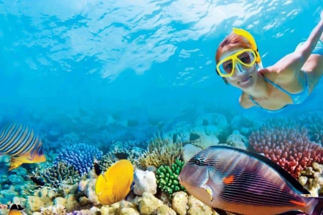 Naked Divorce in Puerto Morelos Mexico